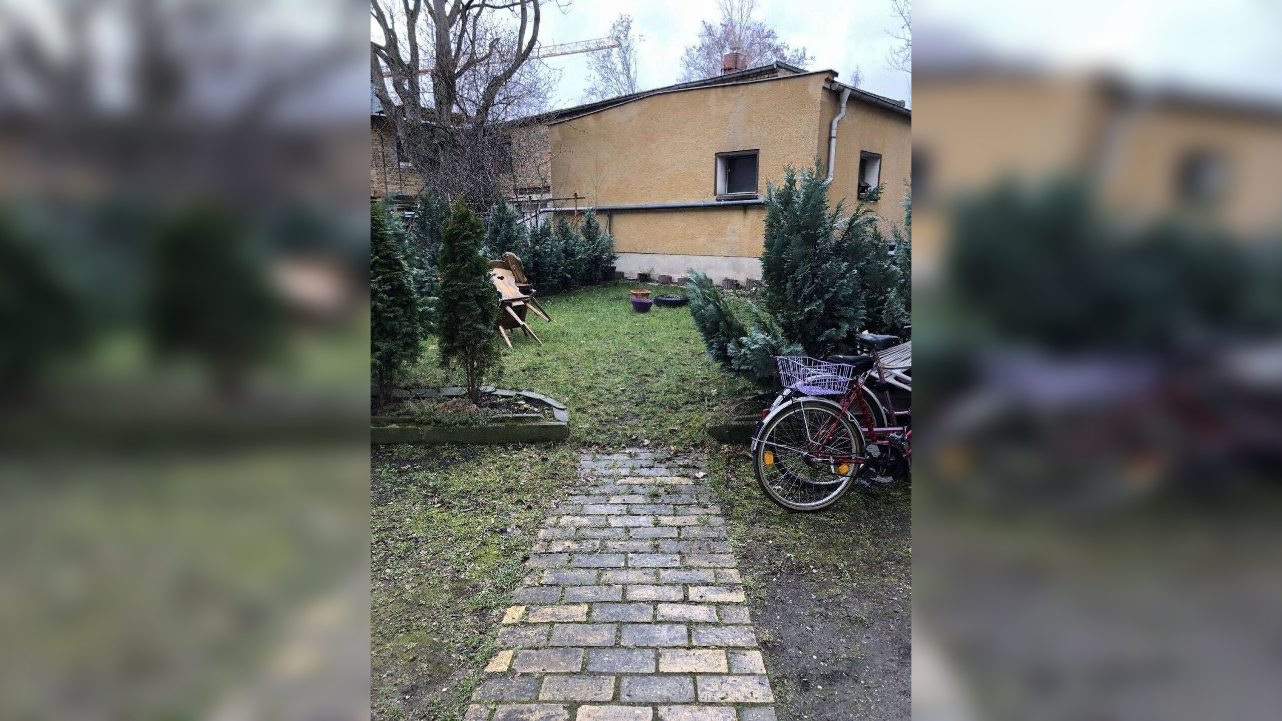 Bild 5
