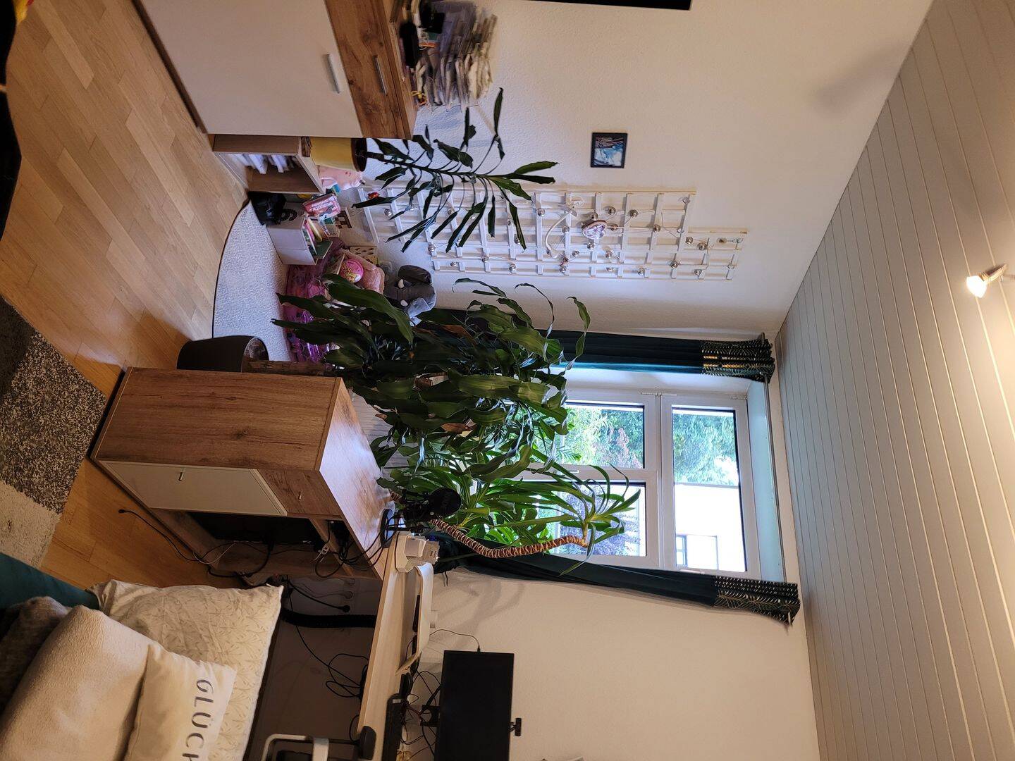 Bild 6