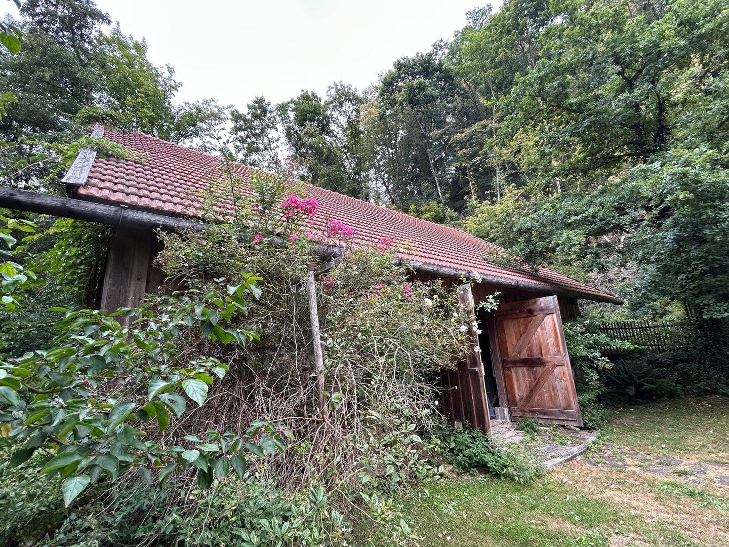 Bild 8