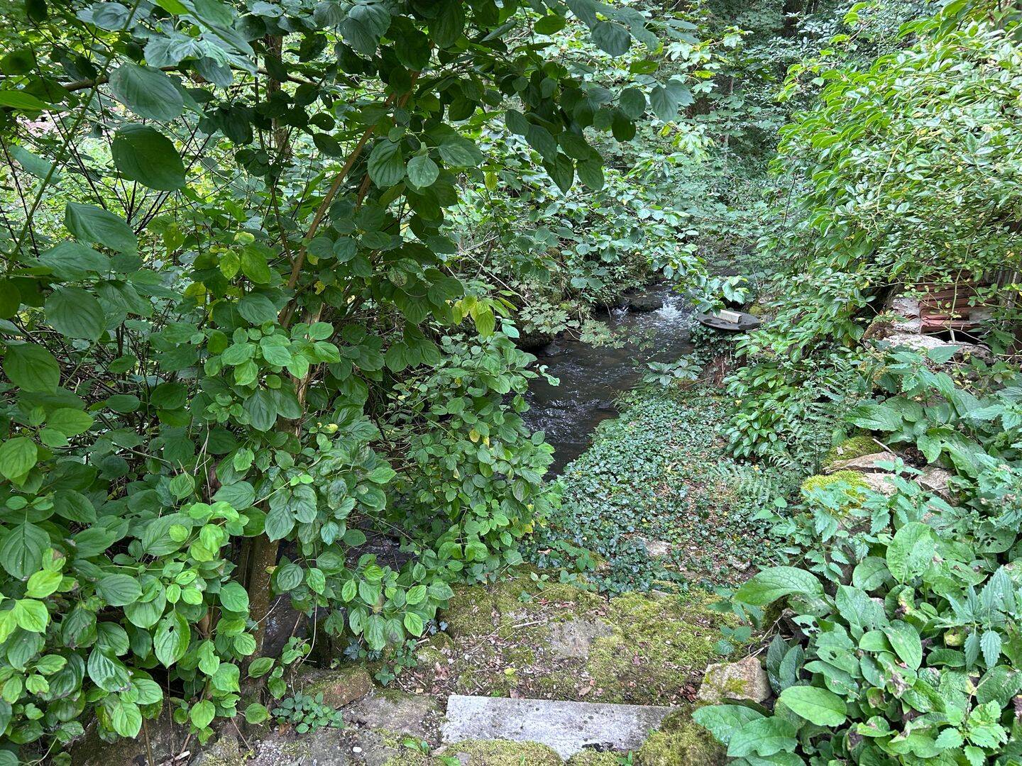Bild 9