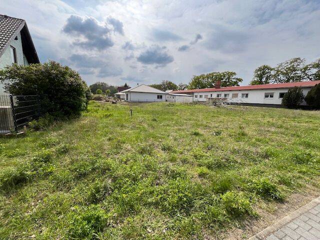 Bild 7
