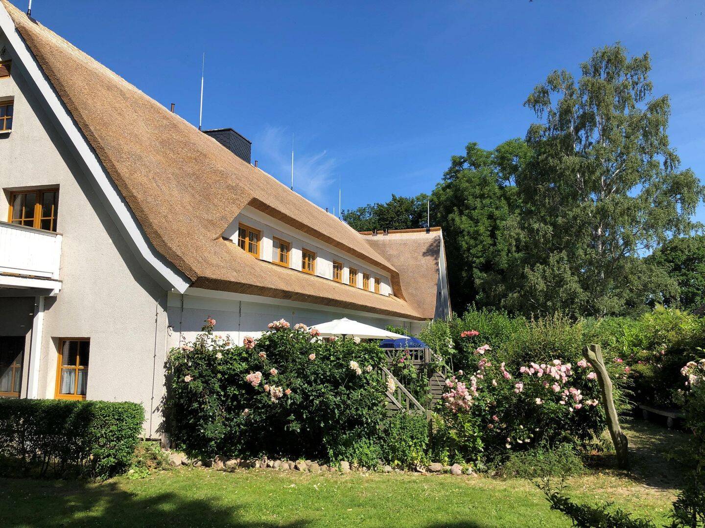 Bild 19