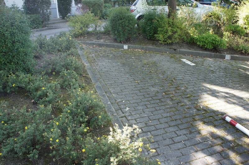 Bild 7