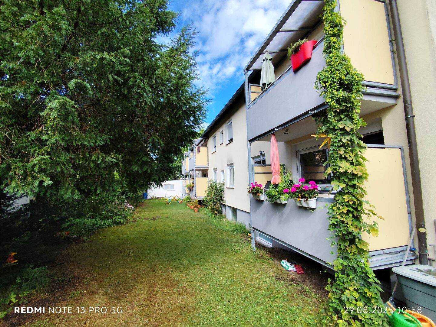 Bild 7