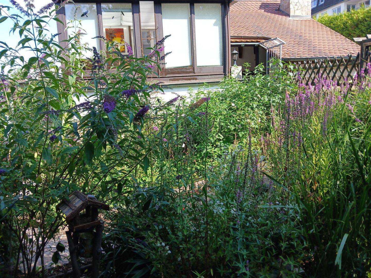 Bild 6