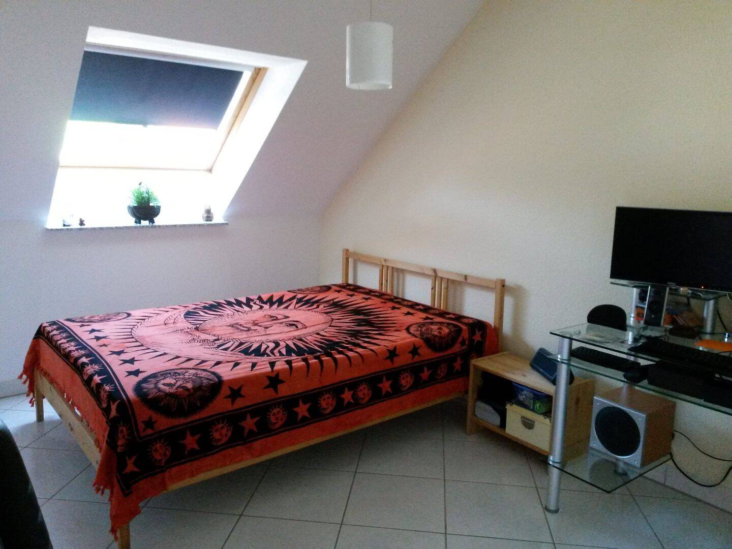 Bild 5