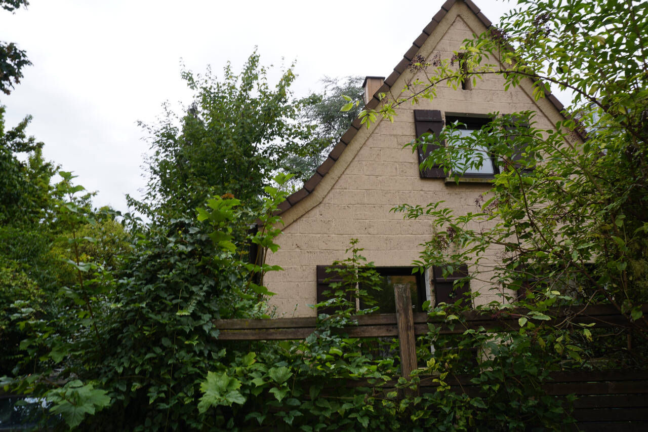 Bild 8
