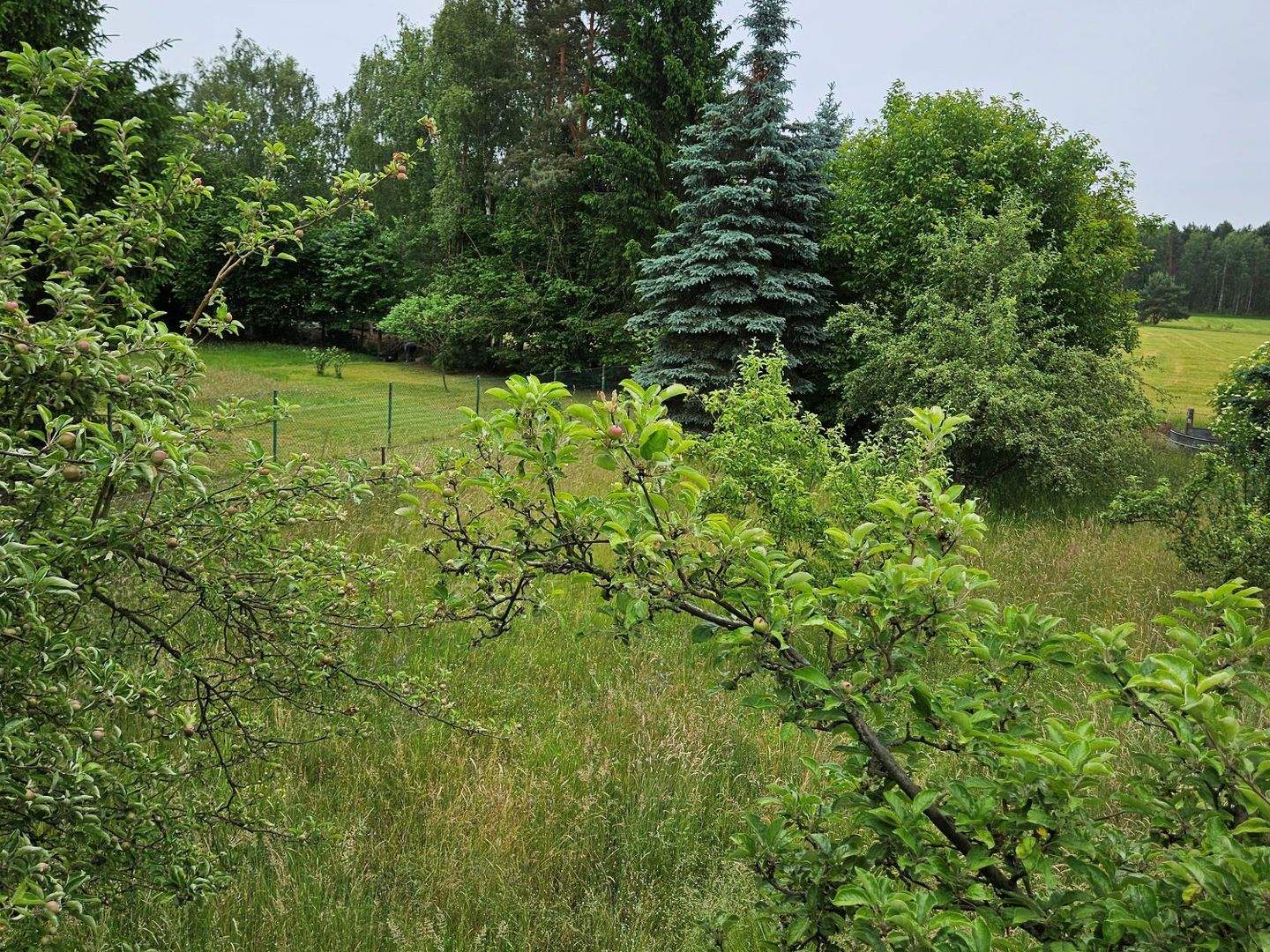 Bild 10