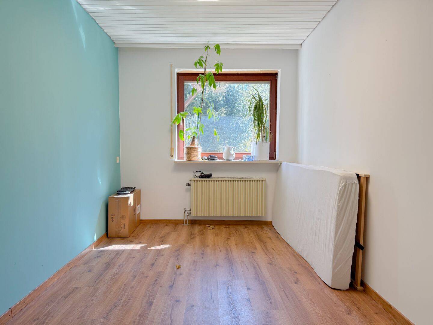 Bild 7