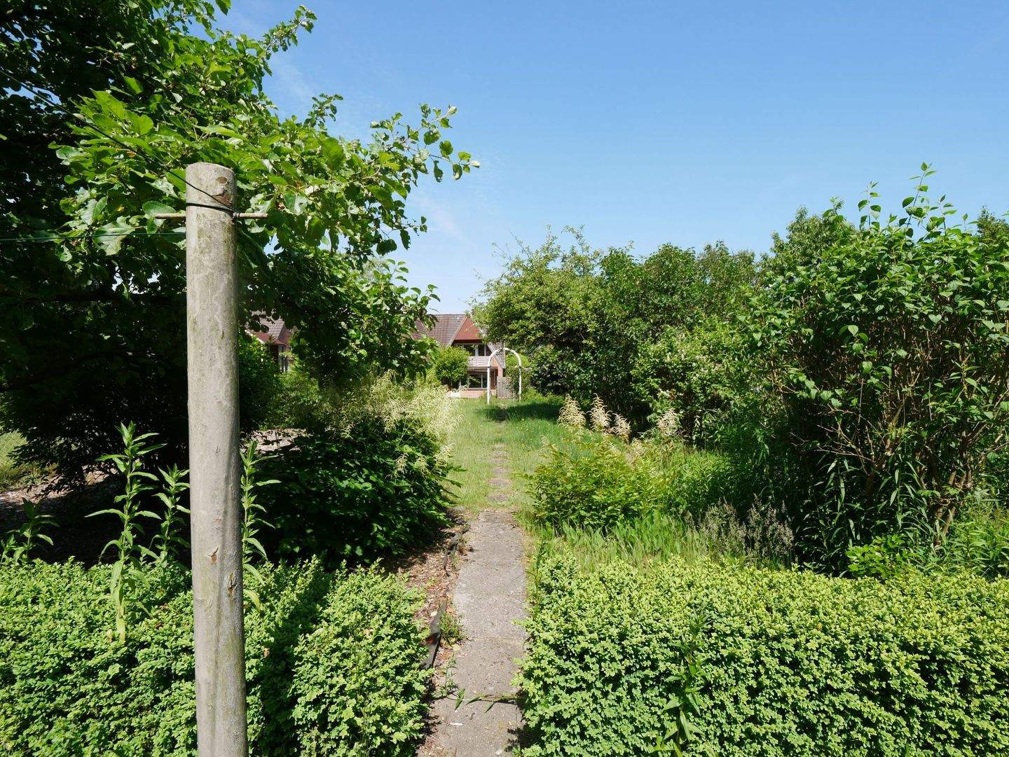 Bild 6