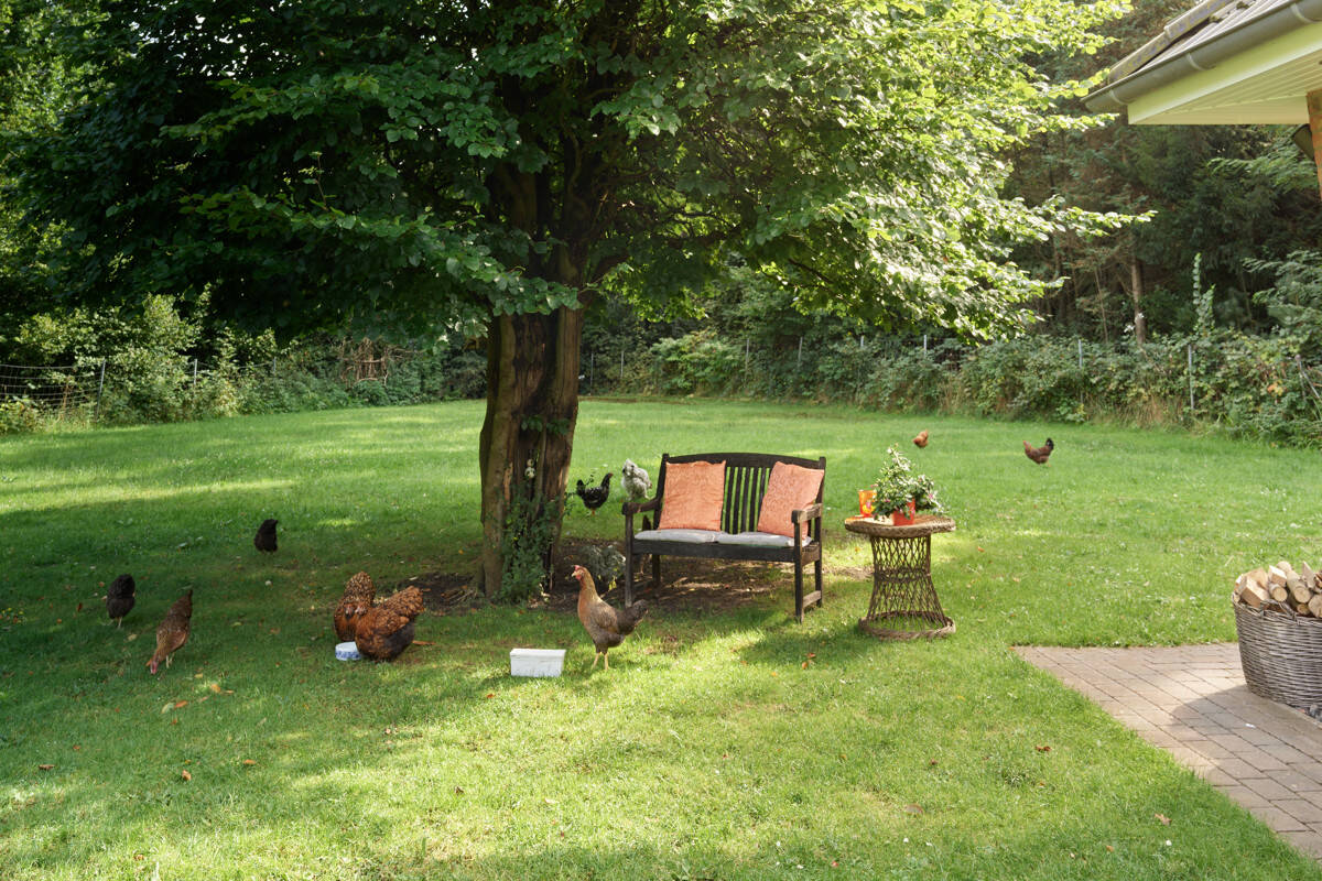 Bild 9