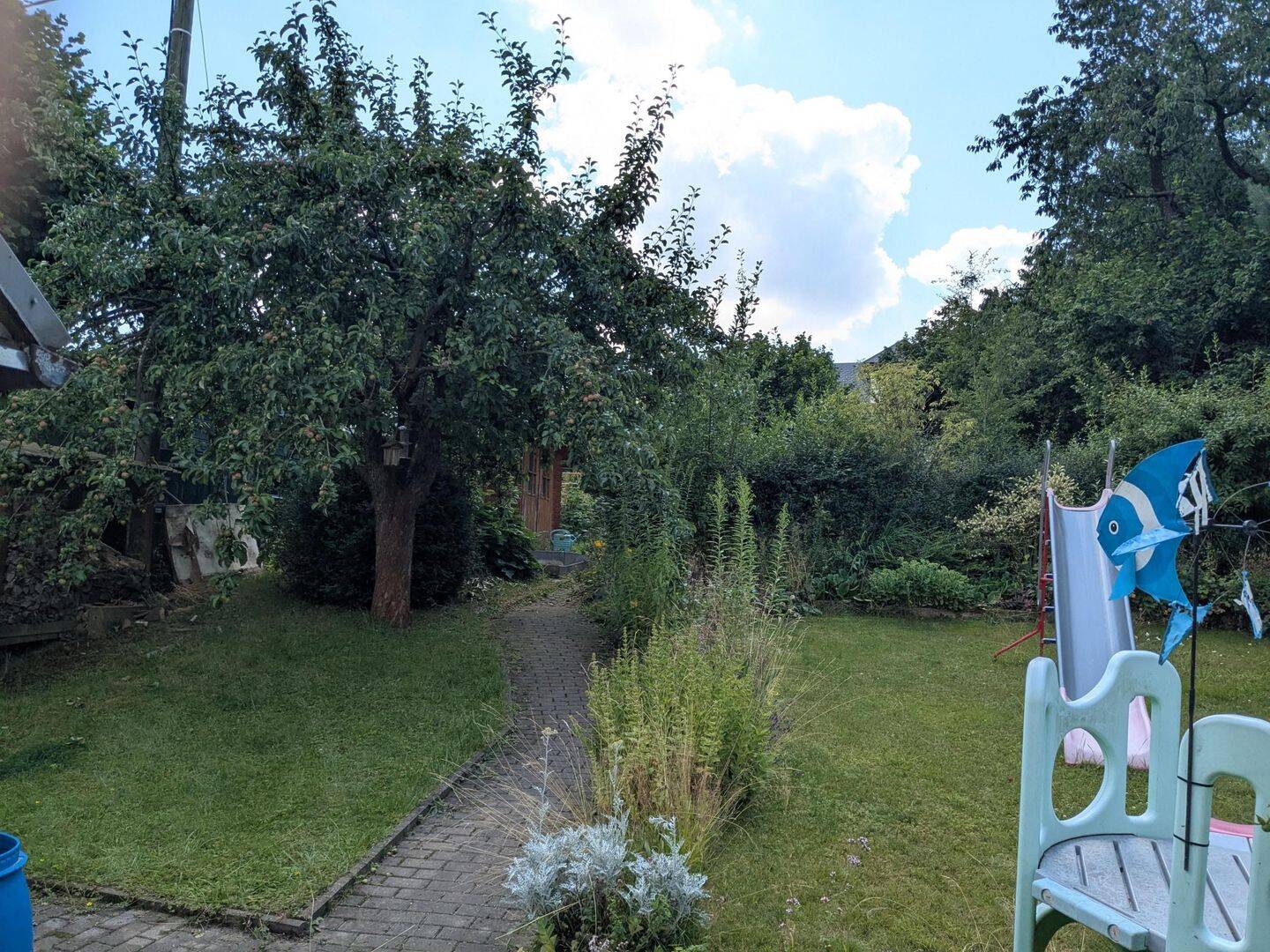 Bild 7