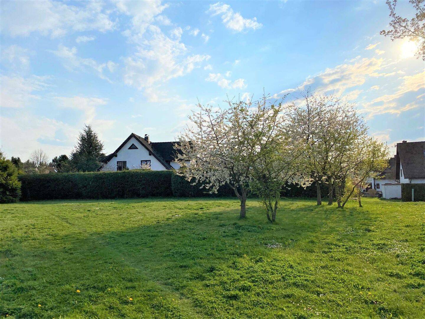Bild 17