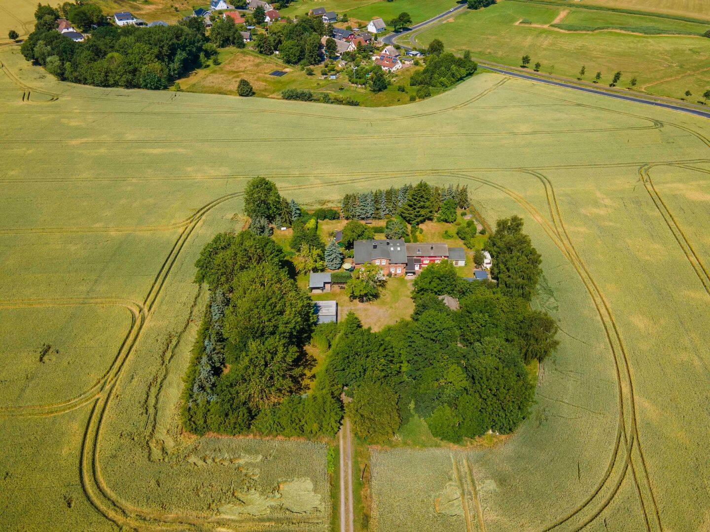 Bild 12