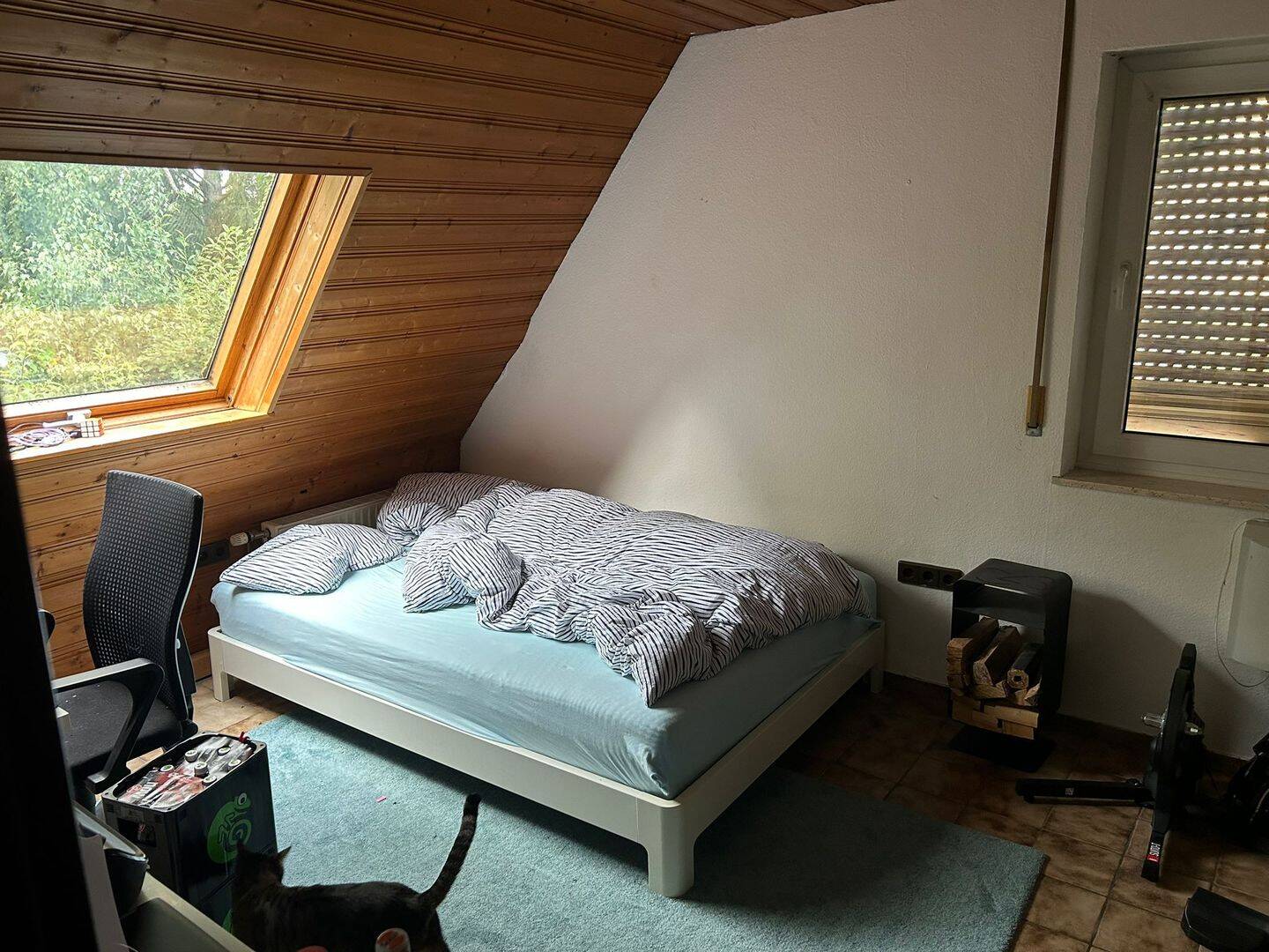 Bild 11