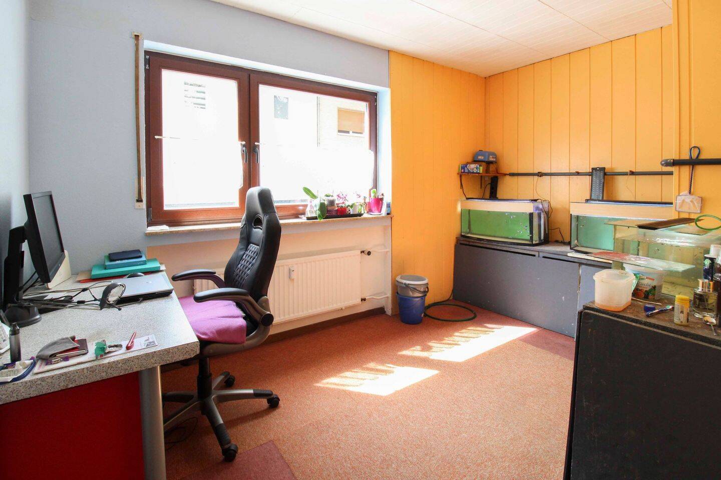 Bild 11