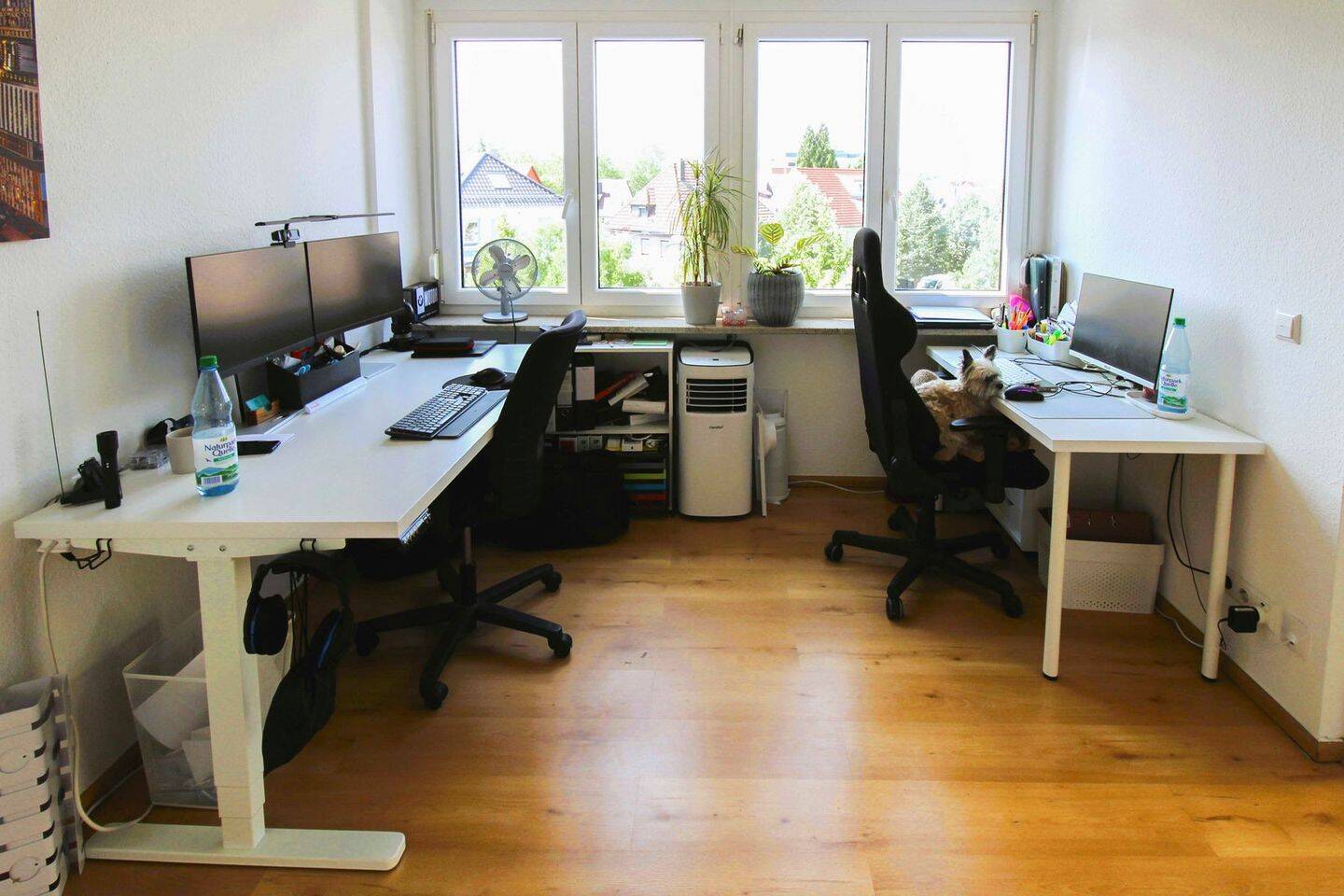 Bild 11