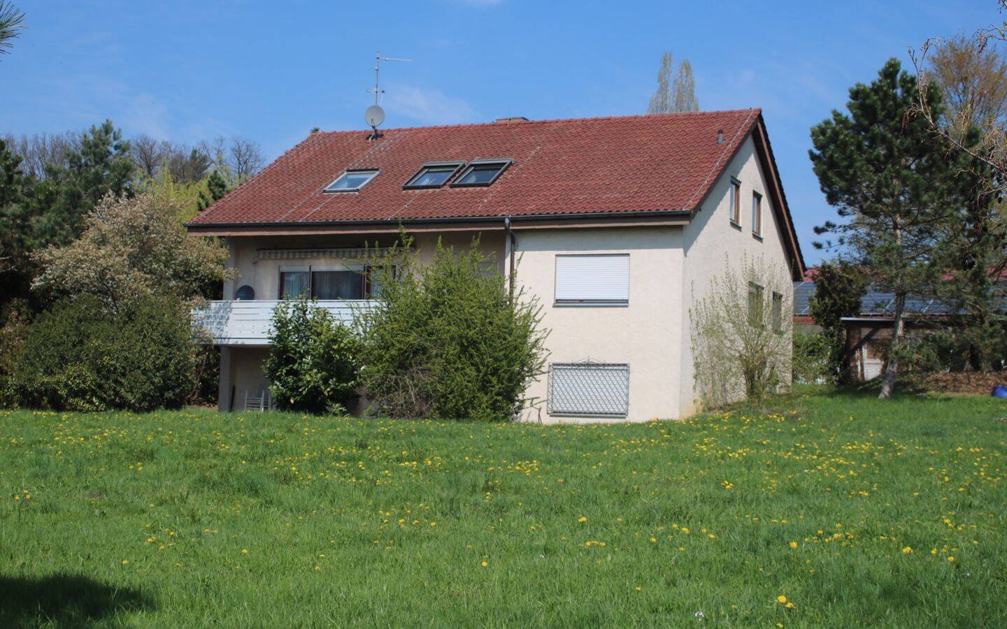 Bild 5