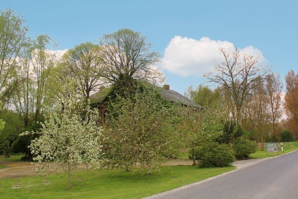 Bild 11
