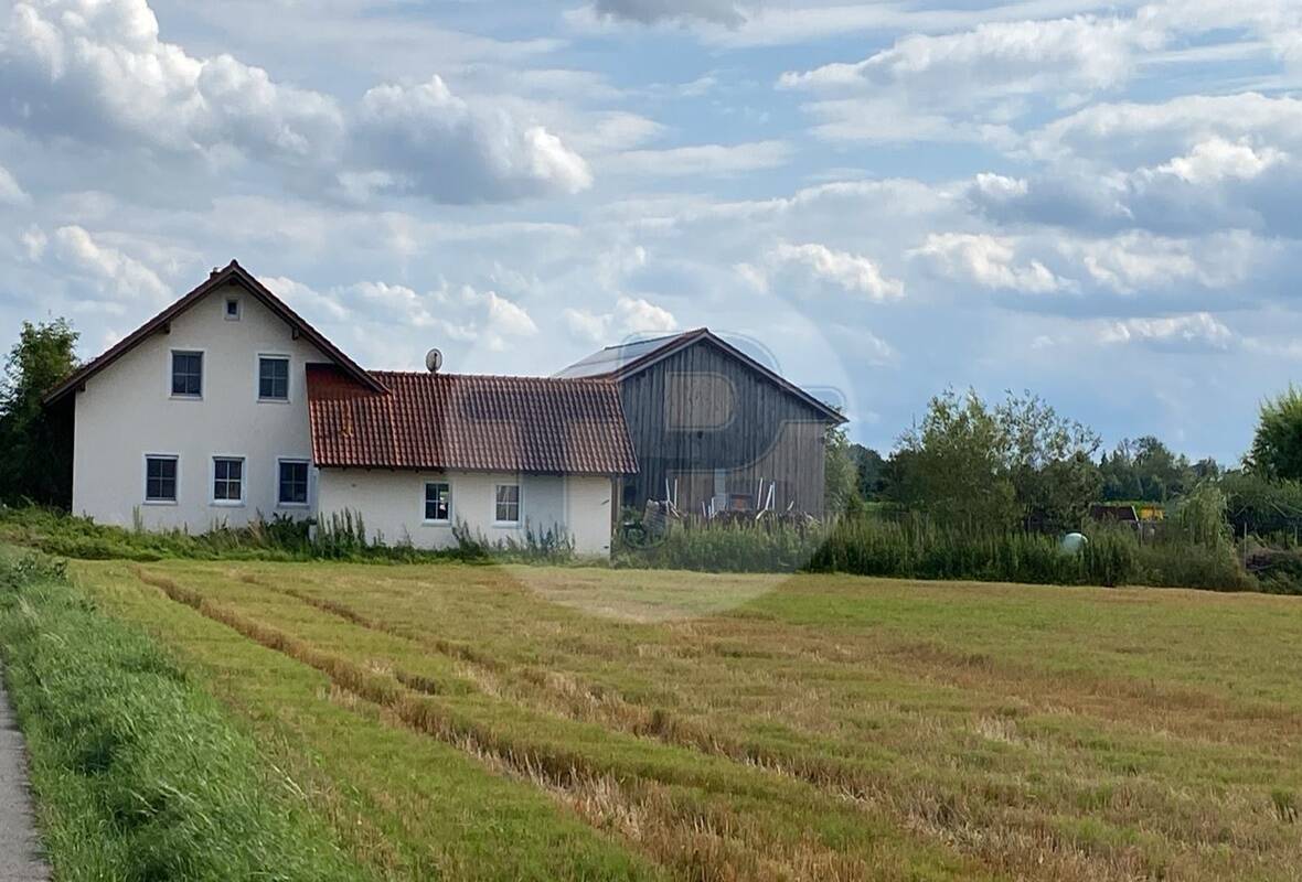 Bild 7