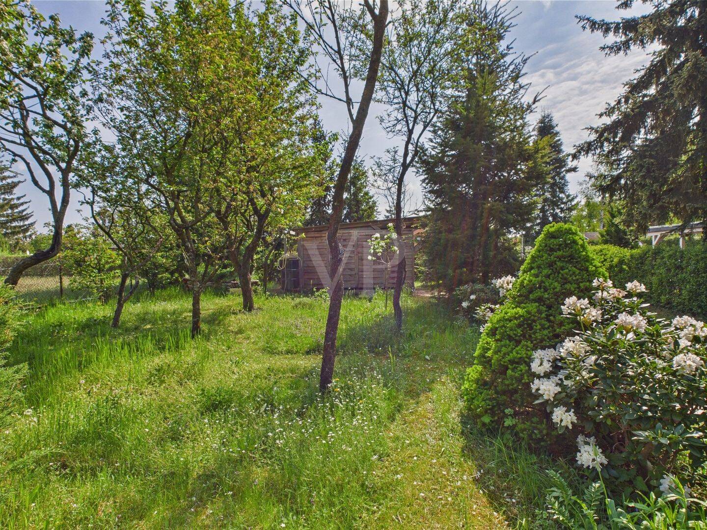Bild 11