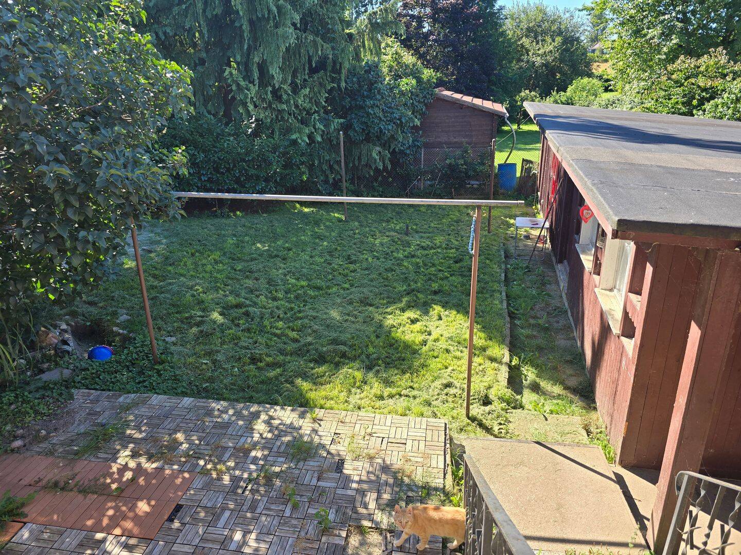 Bild 5