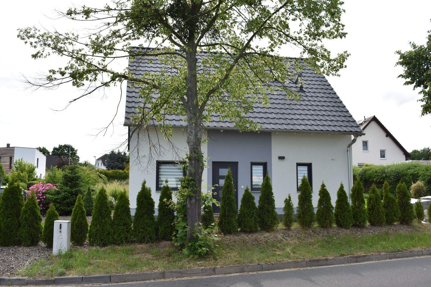 Bild 7