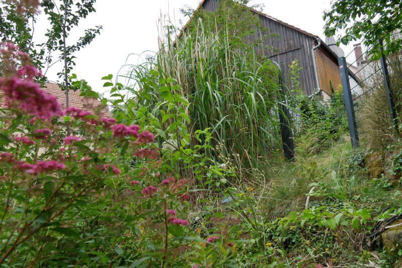 Bild 12