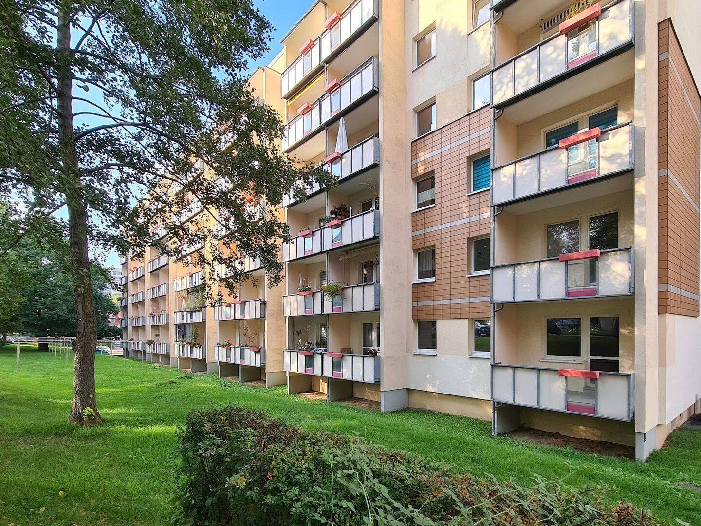 Bild 11