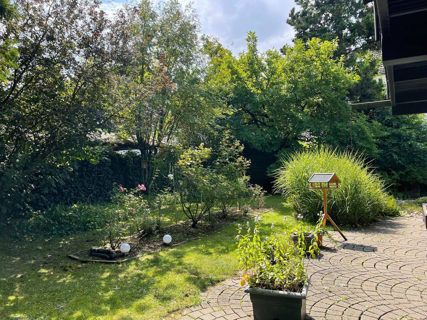 Bild 5