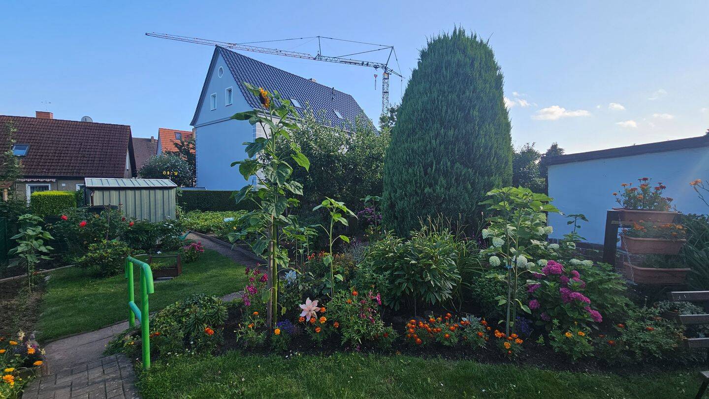 Bild 7