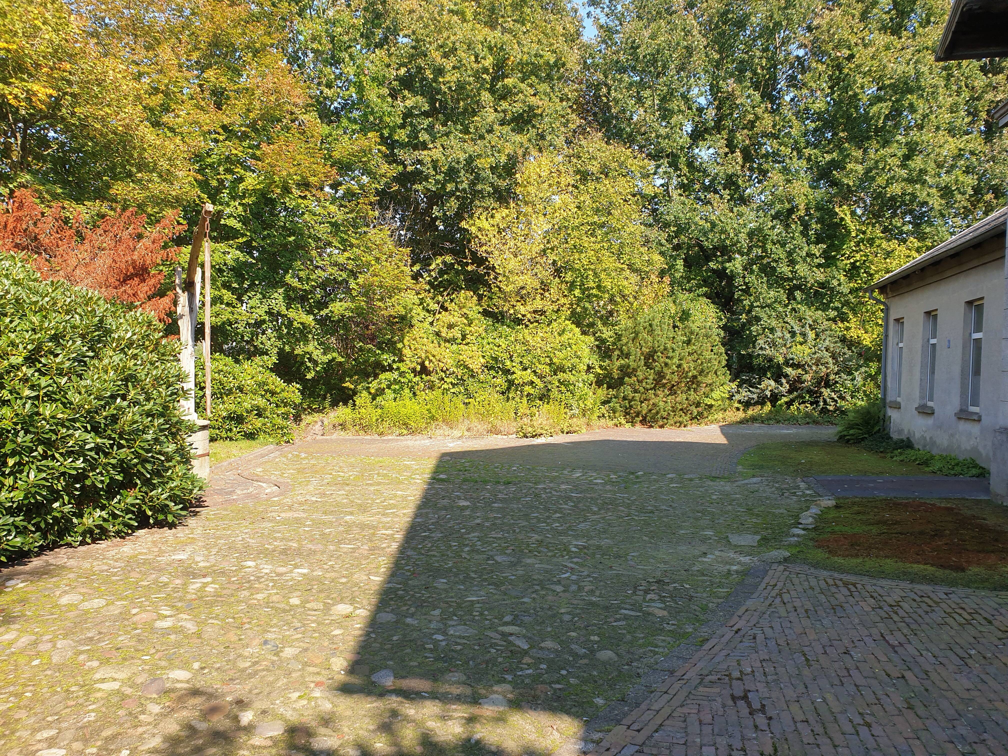 Bild 7