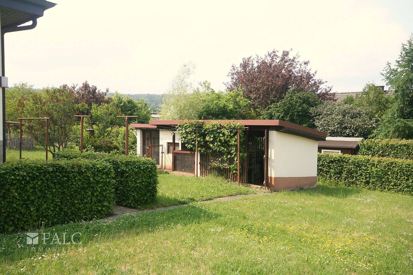 Bild 12