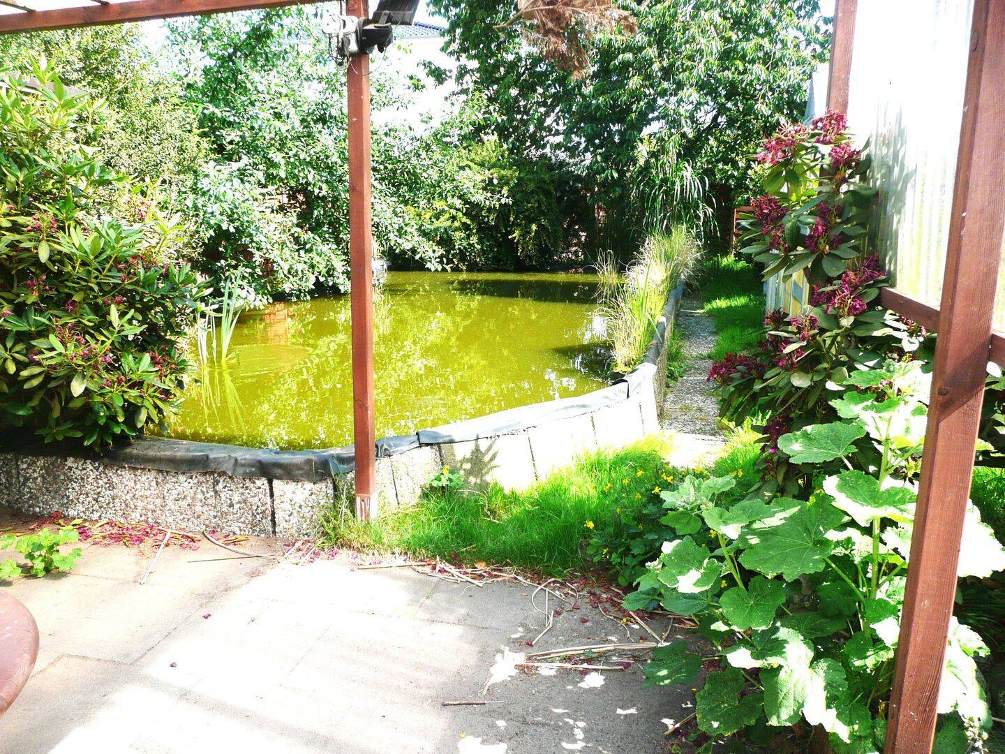 Bild 14