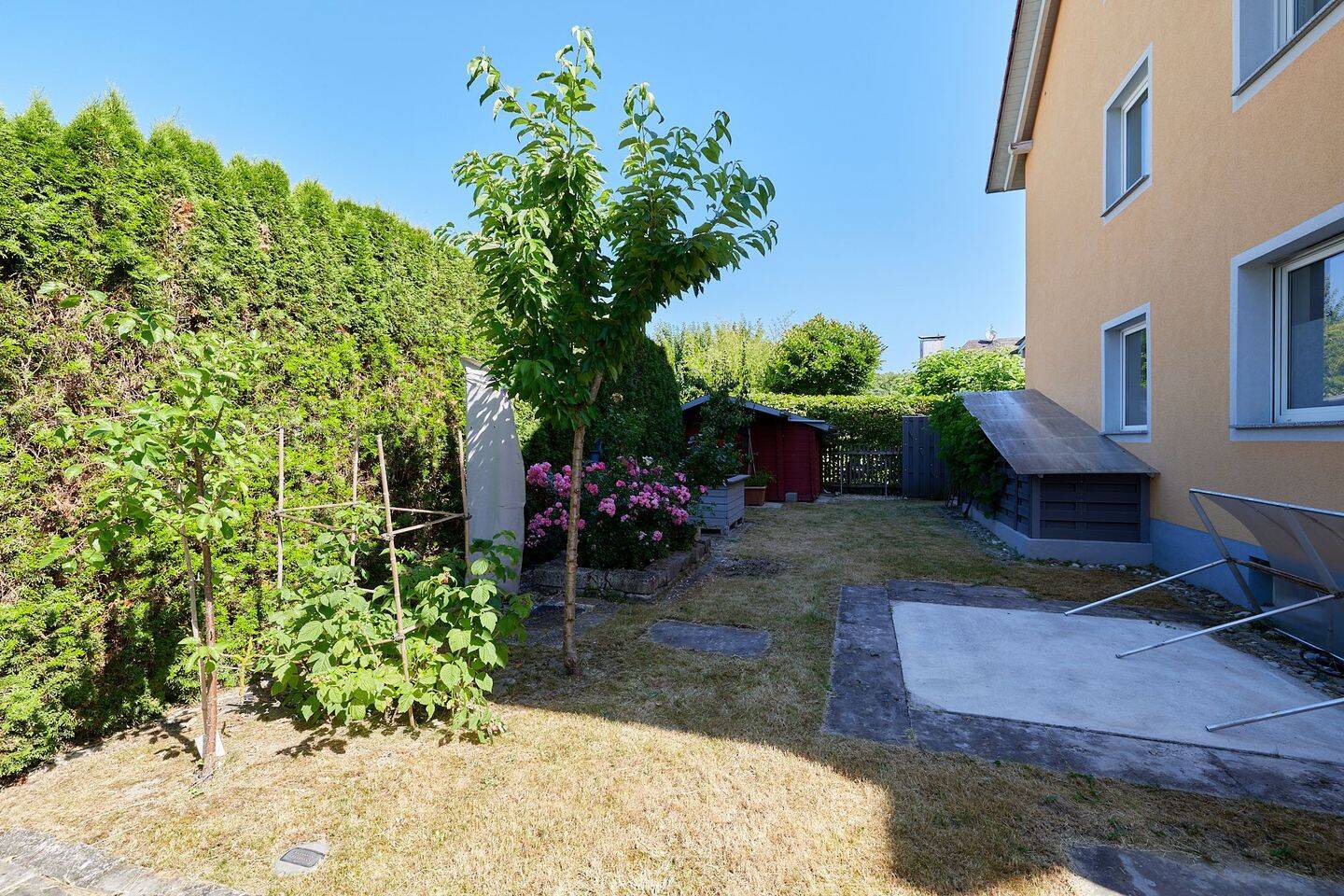 Bild 7