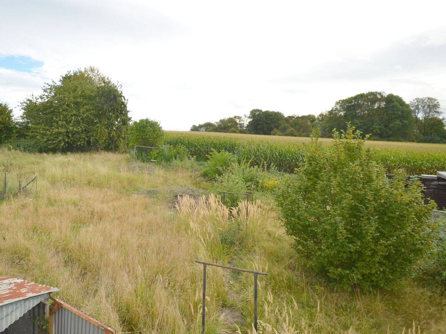 Bild 11