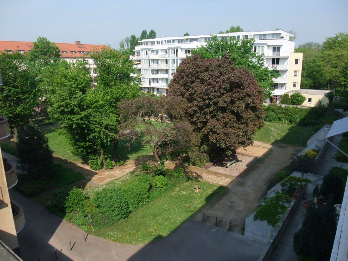 Bild 8