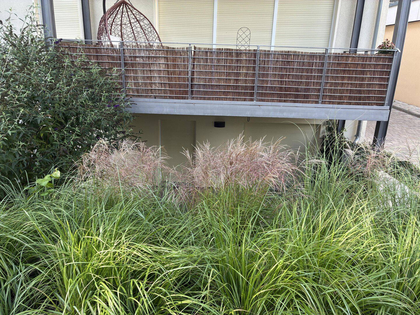 Bild 11