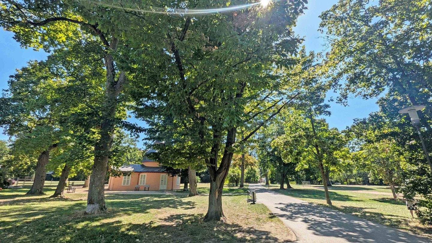 Bild 11