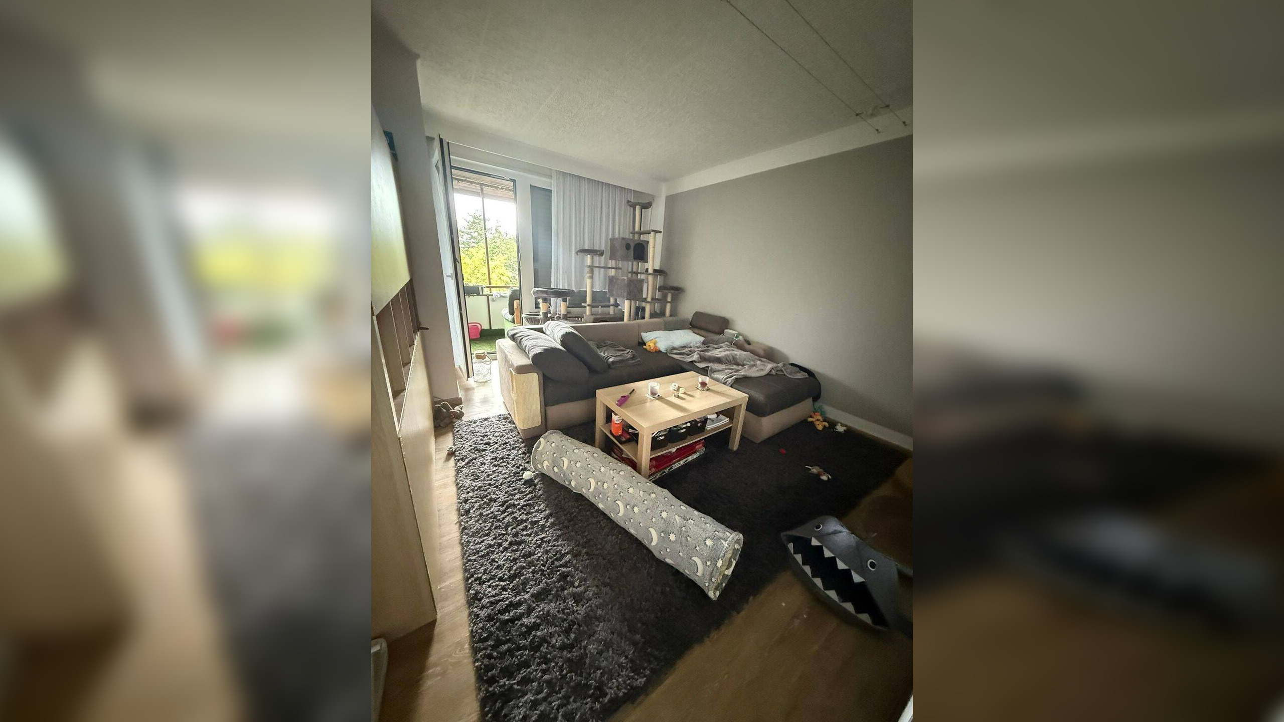 Bild 5