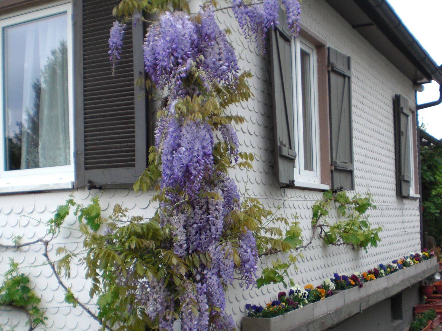 Bild 4
