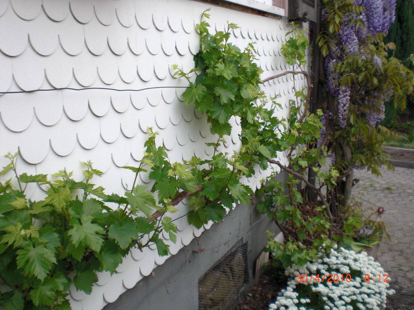 Bild 9