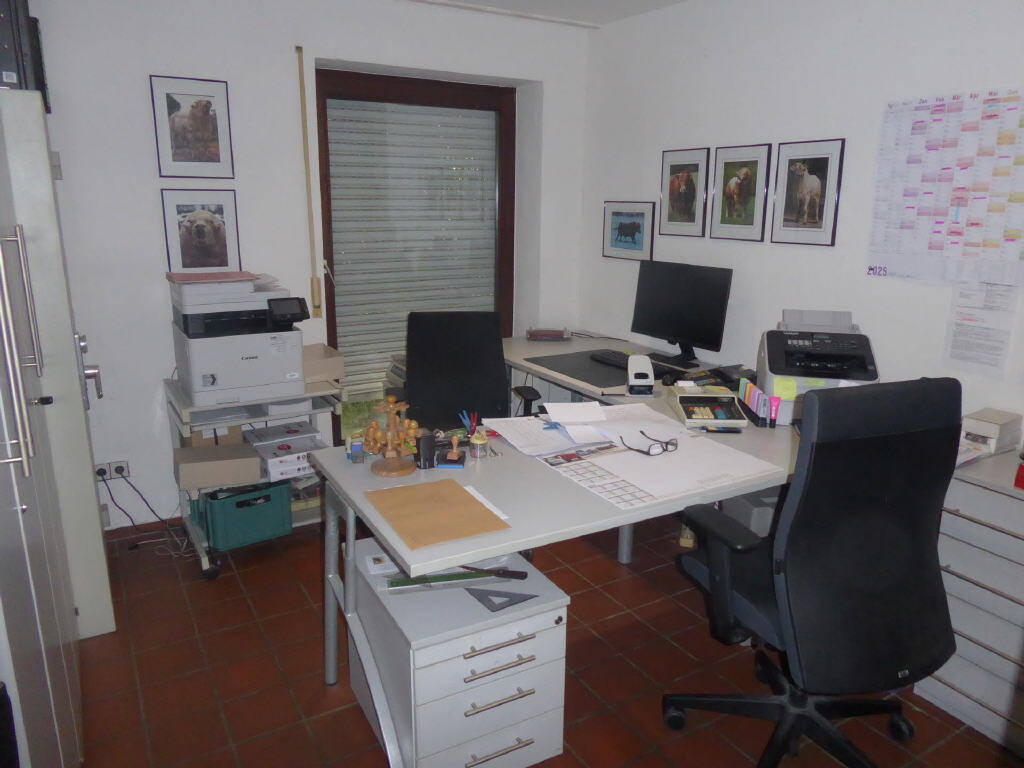 Bild 7