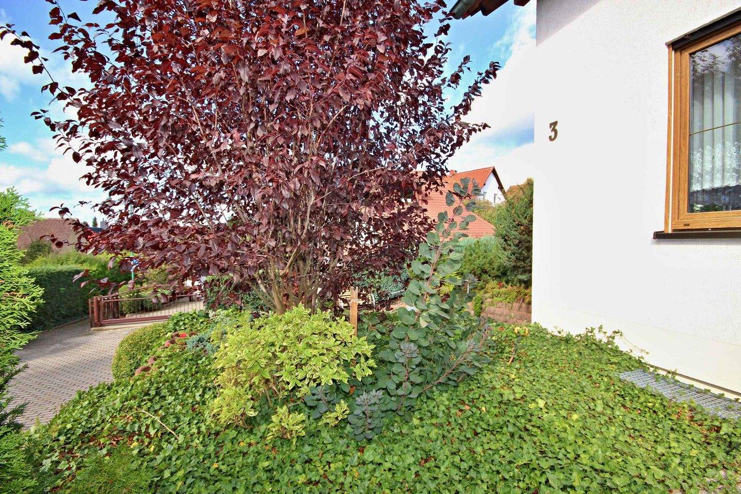 Bild 7