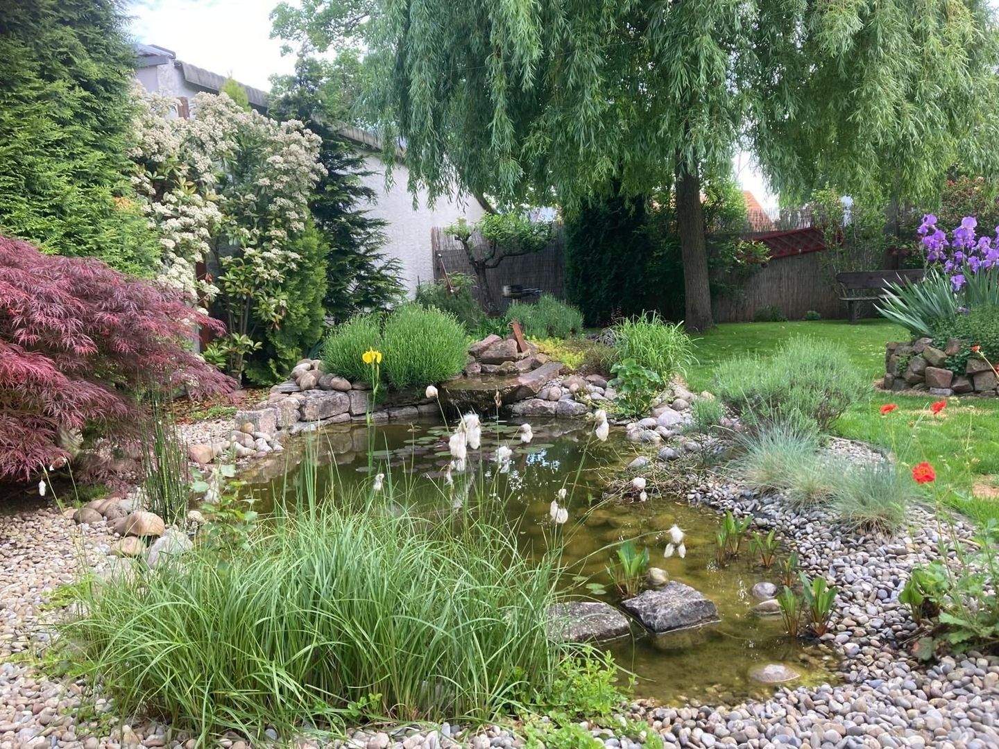Bild 8