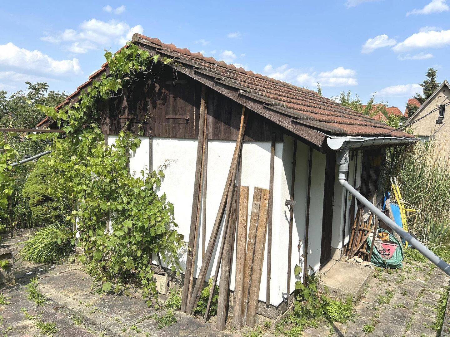 Bild 19