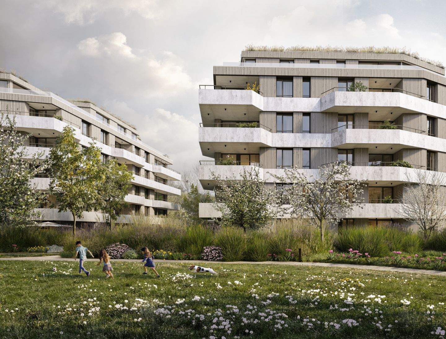 Bild 17