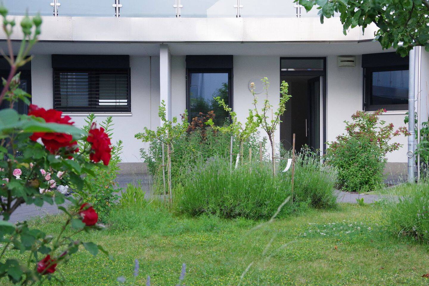 Bild 6