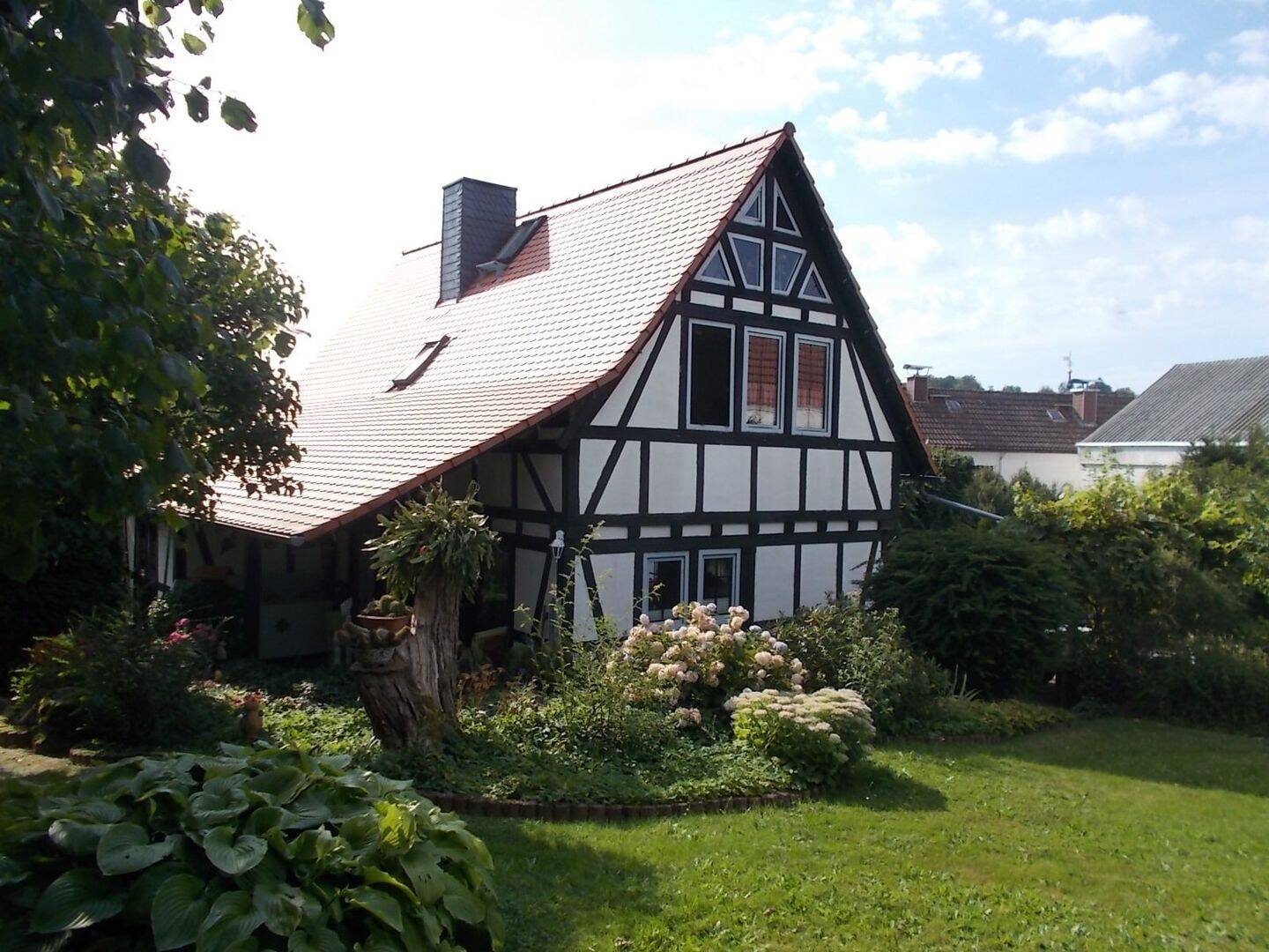 Bild 7