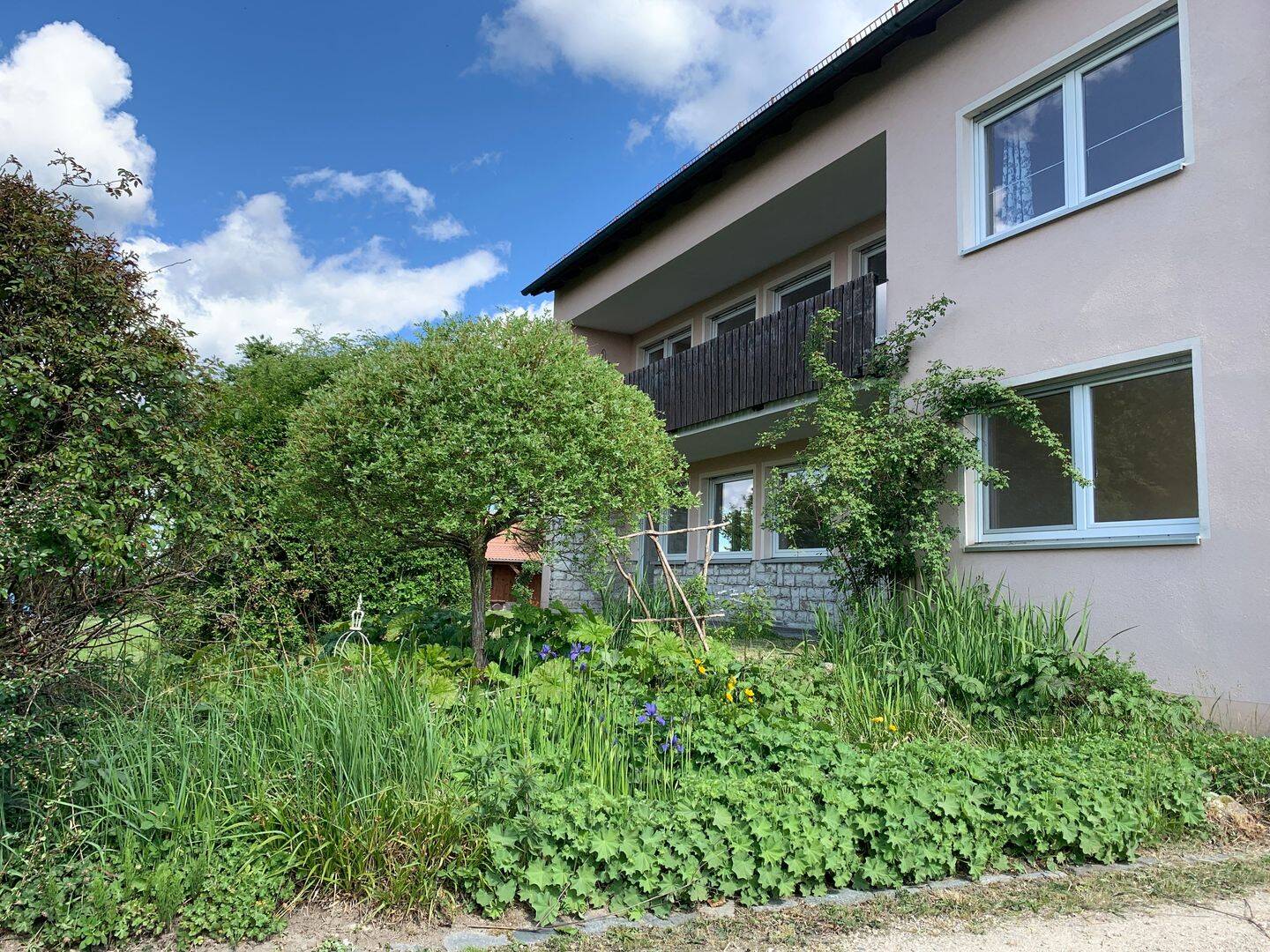 Bild 11